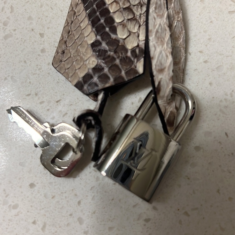 Louis Vuitton Rare Python Clochette With Silver L… - image 2